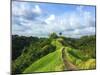 Idyllic Walking Path on Top of Green Hills. Tropical Nature Scene. Narrow Path in Rice Fields. Exot-Davdeka-Mounted Photographic Print