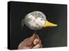If it Looks Like a Duck-Stephen Stavast-Stretched Canvas