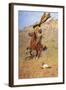 If Skulls Could Speak-Frederic Sackrider Remington-Framed Art Print