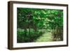 If Trees Could Speak, 2014-Patricia Brintle-Framed Giclee Print