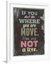 If You Dont Like Move-null-Framed Art Print