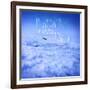 If You're a Bird 2-Kimberly Glover-Framed Giclee Print