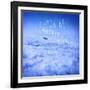 If You're a Bird 2-Kimberly Glover-Framed Giclee Print