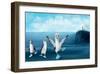 If You Were A Blue Footed Booby-Nancy Tillman-Framed Premium Giclee Print