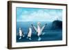 If You Were A Blue Footed Booby-Nancy Tillman-Framed Art Print