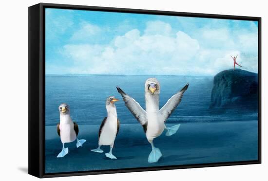 If You Were A Blue Footed Booby-Nancy Tillman-Framed Stretched Canvas