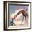 If You Were A Giraffe-Nancy Tillman-Framed Art Print
