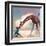 If You Were A Giraffe-Nancy Tillman-Framed Art Print