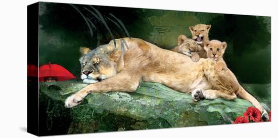 If You Were A Lion Cub-Nancy Tillman-Stretched Canvas