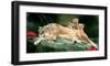 If You Were A Lion Cub-Nancy Tillman-Framed Art Print