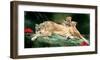 If You Were A Lion Cub-Nancy Tillman-Framed Premium Giclee Print