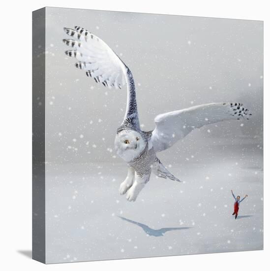 If You Were An Owl-Nancy Tillman-Stretched Canvas