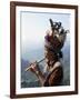 Ifugao Person Playing a Pipe, Northern Area, Island of Luzon, Philippines, Southeast Asia-Bruno Barbier-Framed Photographic Print