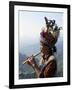 Ifugao Person Playing a Pipe, Northern Area, Island of Luzon, Philippines, Southeast Asia-Bruno Barbier-Framed Photographic Print