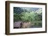 Ifugao Village of Banga-An, Northern Area, Island of Luzon, Philippines, Southeast Asia-Bruno Barbier-Framed Premium Photographic Print