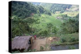 Ifugao Village of Banga-An, Northern Area, Island of Luzon, Philippines, Southeast Asia-Bruno Barbier-Stretched Canvas