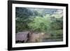 Ifugao Village of Banga-An, Northern Area, Island of Luzon, Philippines, Southeast Asia-Bruno Barbier-Framed Photographic Print