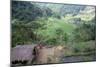 Ifugao Village of Banga-An, Northern Area, Island of Luzon, Philippines, Southeast Asia-Bruno Barbier-Mounted Photographic Print