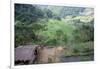 Ifugao Village of Banga-An, Northern Area, Island of Luzon, Philippines, Southeast Asia-Bruno Barbier-Framed Photographic Print