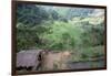 Ifugao Village of Banga-An, Northern Area, Island of Luzon, Philippines, Southeast Asia-Bruno Barbier-Framed Photographic Print