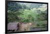 Ifugao Village of Banga-An, Northern Area, Island of Luzon, Philippines, Southeast Asia-Bruno Barbier-Framed Photographic Print