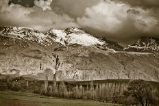 Panoramic View of Oaks-igabriela-Photographic Print