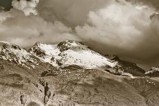 Panoramic View of Oaks-igabriela-Photographic Print