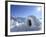 Igloo, Alps, Italy, Europe-Vincenzo Lombardo-Framed Photographic Print