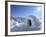 Igloo, Alps, Italy, Europe-Vincenzo Lombardo-Framed Photographic Print