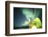 Igloo Light, Aurora borealis, Canadian Arctic-Stuart Westmorland-Framed Photographic Print