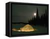 Igloo with Lights at Night by Moonlight, Northwest Territories, Canada March 2007-Eric Baccega-Framed Stretched Canvas