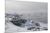 Igloos Outside the Arctic Hotel in Ilulissat, Greenland, Denmark, Polar Regions-Sergio Pitamitz-Mounted Photographic Print