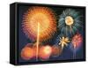 Ignited Fireworks-null-Framed Stretched Canvas