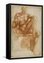 Ignundo on the Sistine Valut-Giovanni Battista Rosso Fiorentino-Framed Stretched Canvas