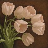 Magnificent Tulips II-Igor Levashov-Framed Art Print