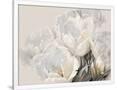 Gramercy White