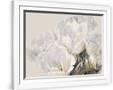 Gramercy White