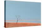 Stretched Canvas