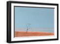 Black Frame