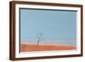 Brown Frame