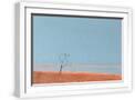 White Frame