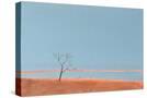 Stretched Canvas