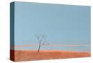 Stretched Canvas