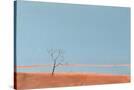Stretched Canvas