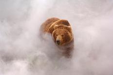 Brown bear in hot steam from a geyser, Kamchatka, Russia-Igor Shpilenok-Photographic Print
