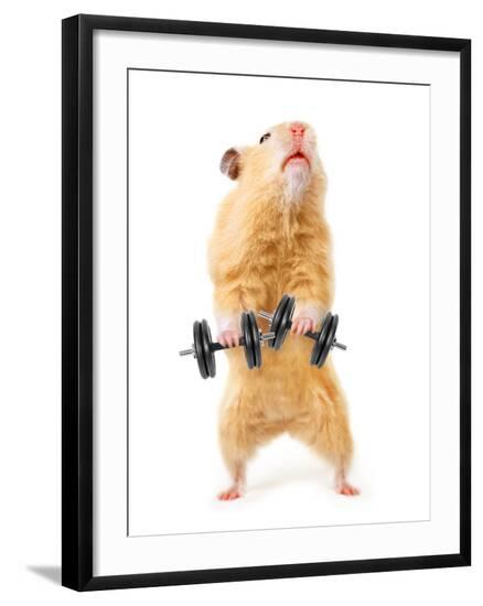 Premium Photographic Print, , large