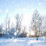 Winter Landscape with Snow-IgorKovalchuk-Stretched Canvas