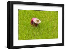 Igorot Tribal Woman, Rice Paddy, Agriculture, Banaue, Ifugao Province, Philippines-Keren Su-Framed Photographic Print