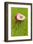 Igorot Tribal Woman, Rice Paddy, Agriculture, Banaue, Ifugao Province, Philippines-Keren Su-Framed Photographic Print