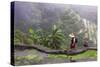 Igorot Woman, Rice Terraces, Agriculture, Philippine Cordilleras, Philippines-Keren Su-Stretched Canvas